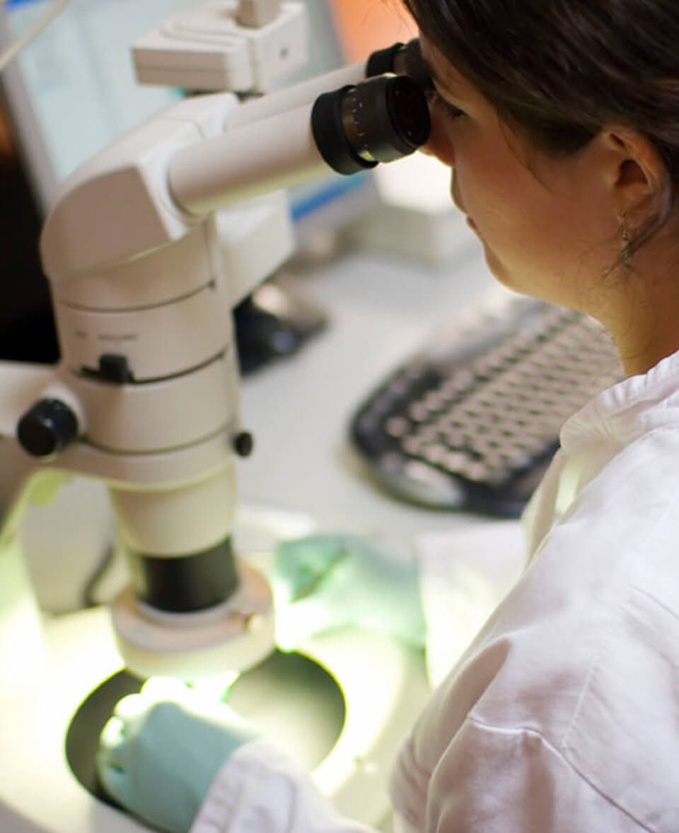 IVF Centre in Udaipur